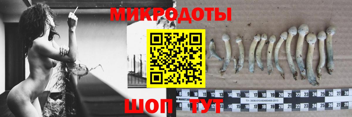 закладка  Псилоцибиновые грибы мицелий  Вход с VPN  Псилоцибиновые грибы Psilocybe  Уварово 